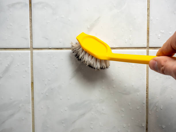 Best Emergency Mold Remediation in Sugar Grove, IL