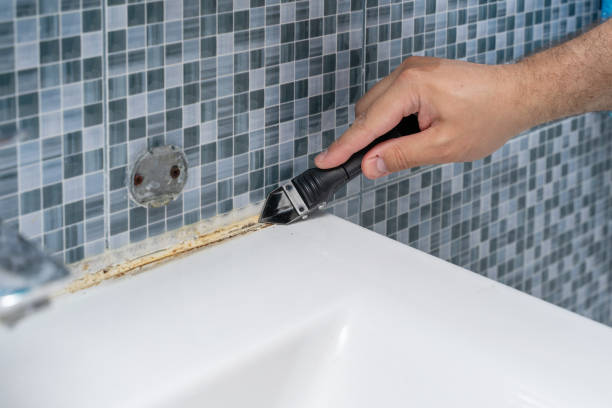 Best Mold Remediation for Specific Building Types in Sugar Grove, IL